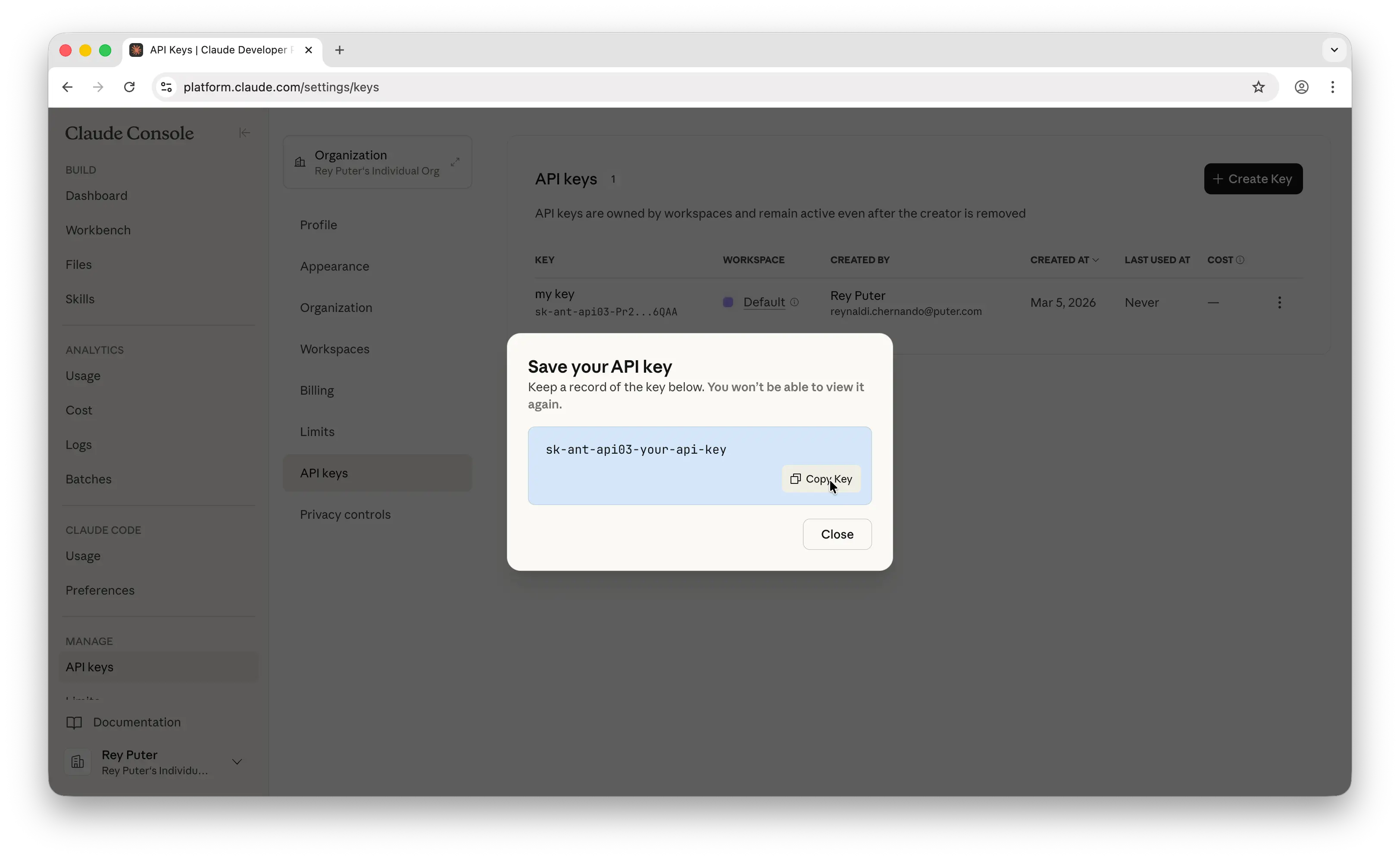 Anthropic API key revealed with copy button