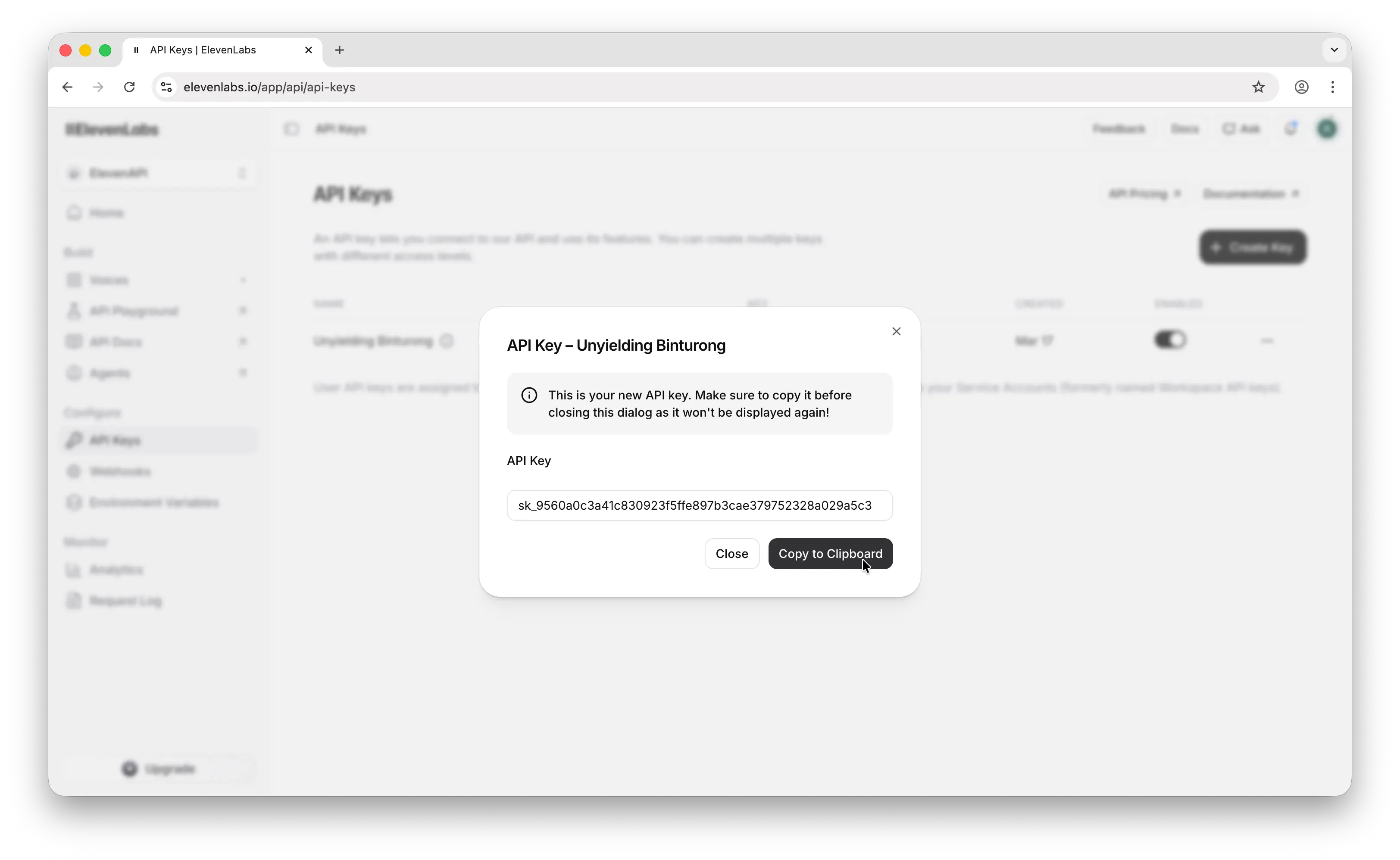 ElevenLabs API key revealed with copy button