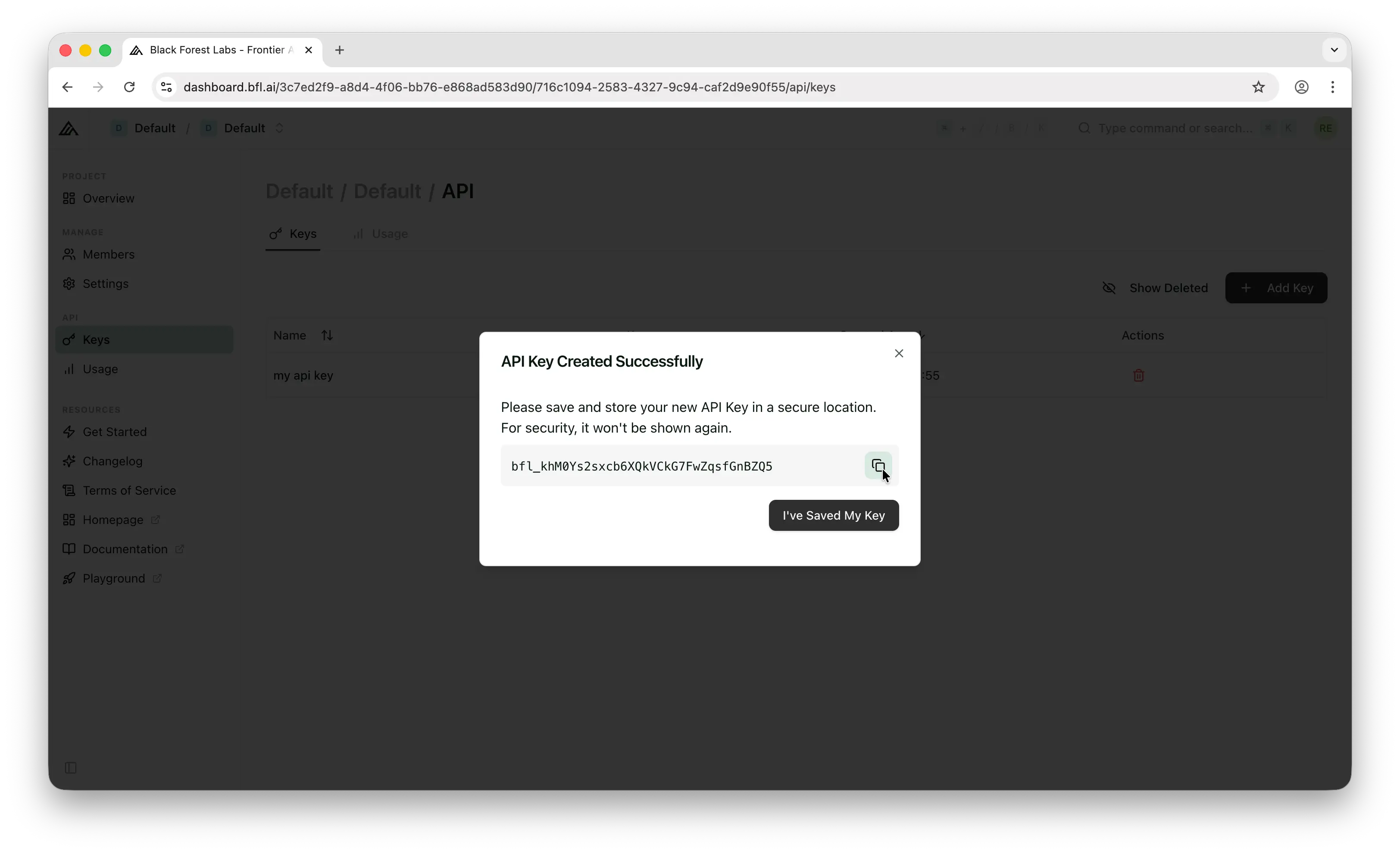 Black Forest Labs API key revealed with copy button