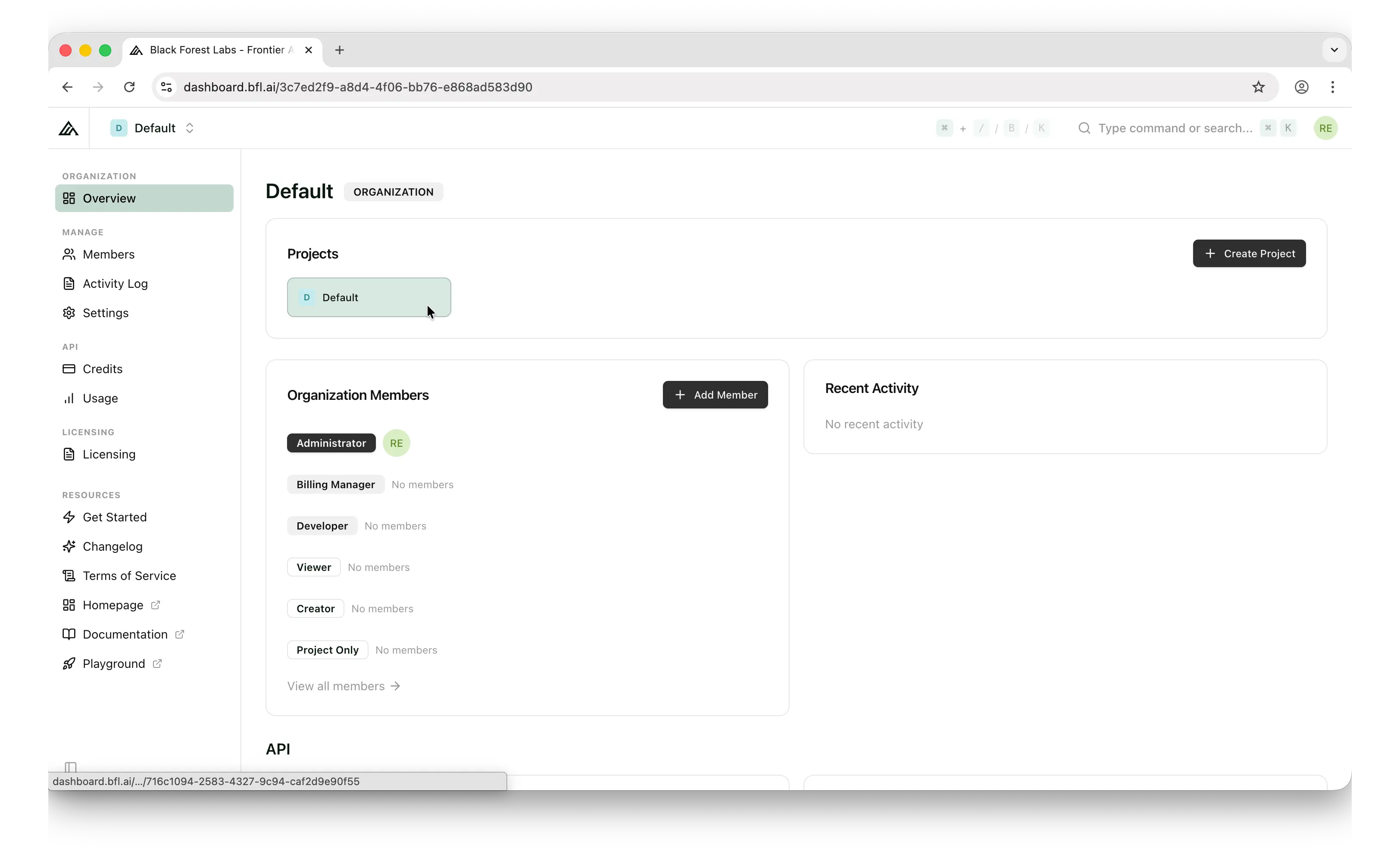 Black Forest Labs dashboard with Projects