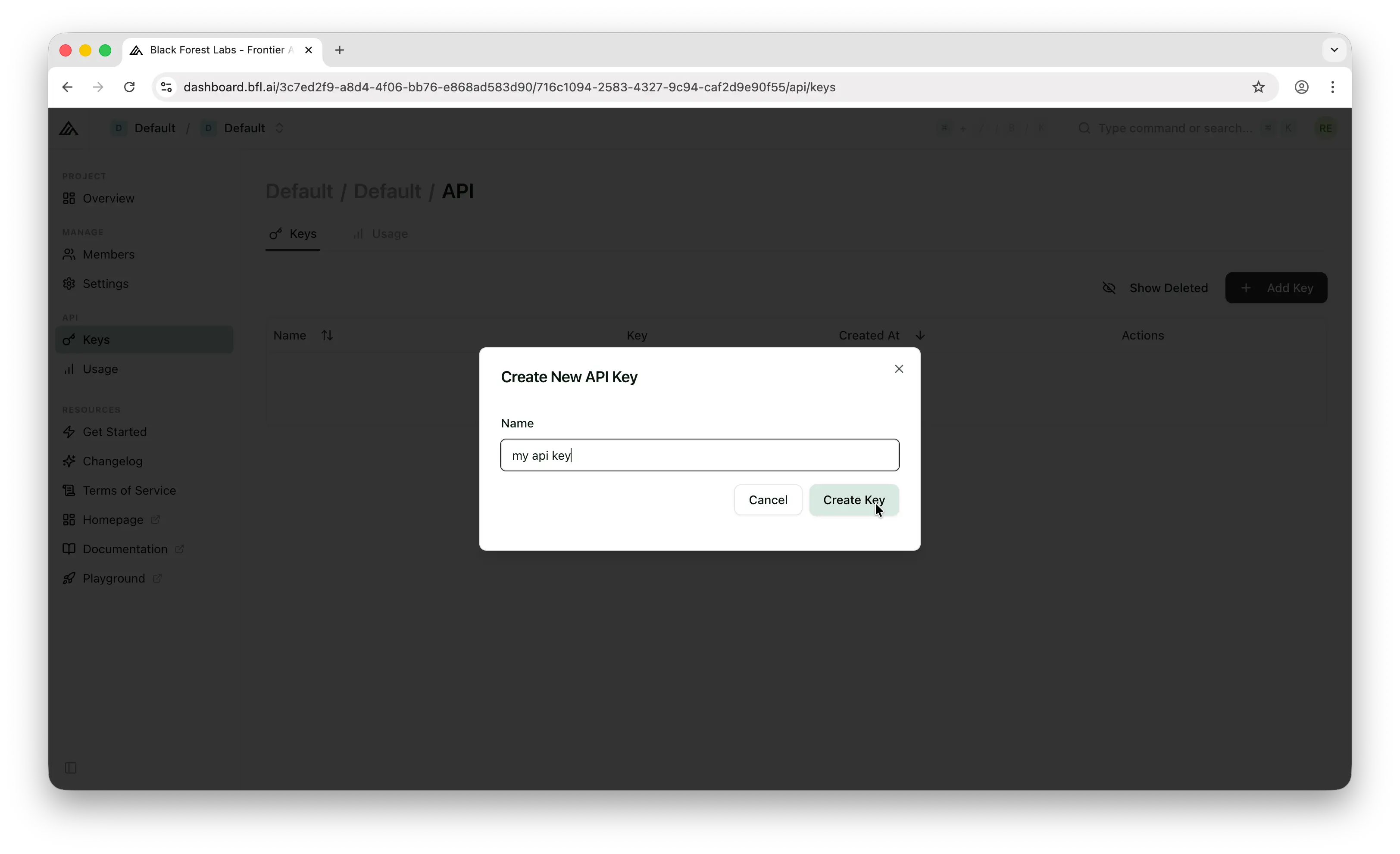 Black Forest Labs name your API key dialog