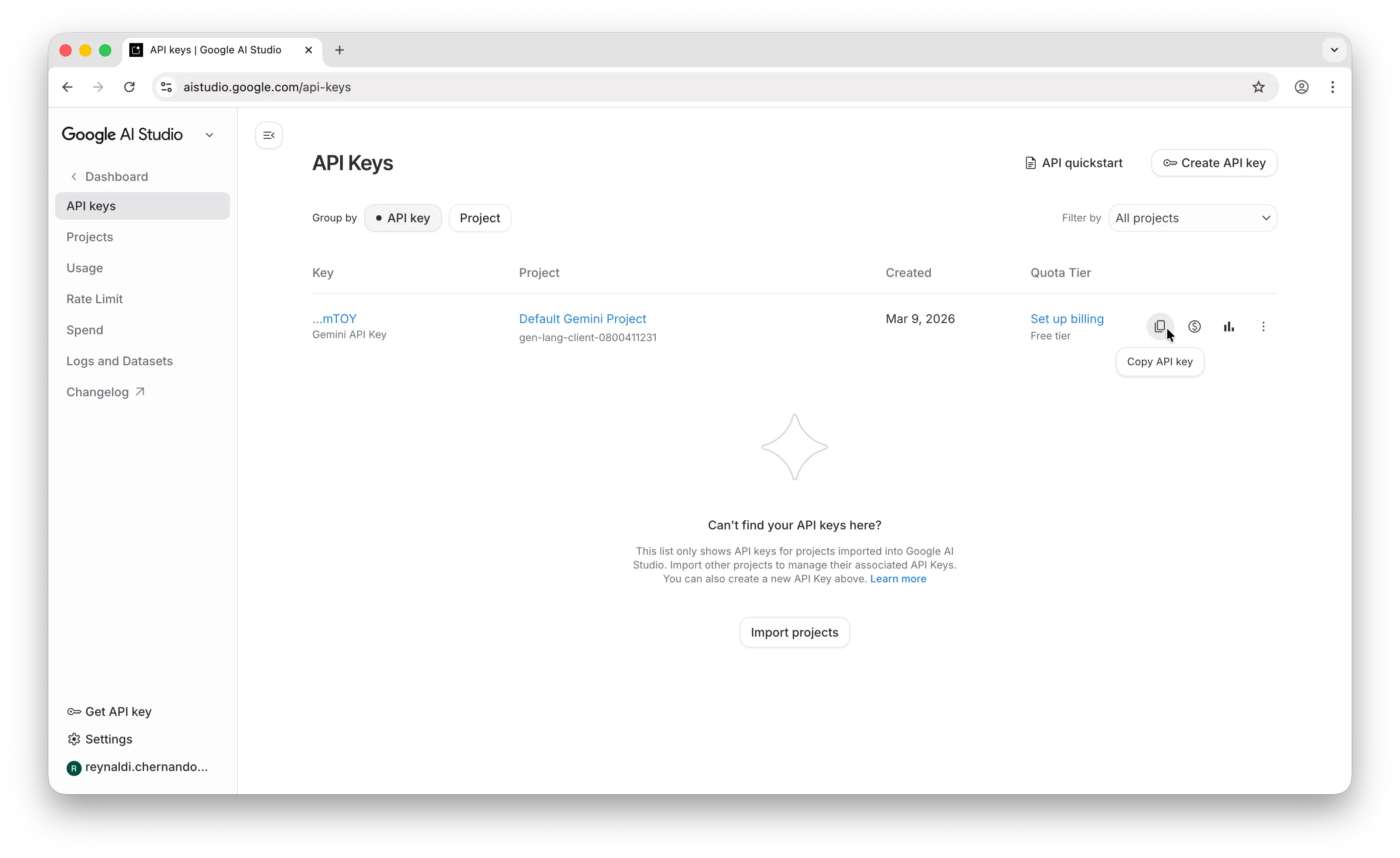 Google AI Studio API key with copy button