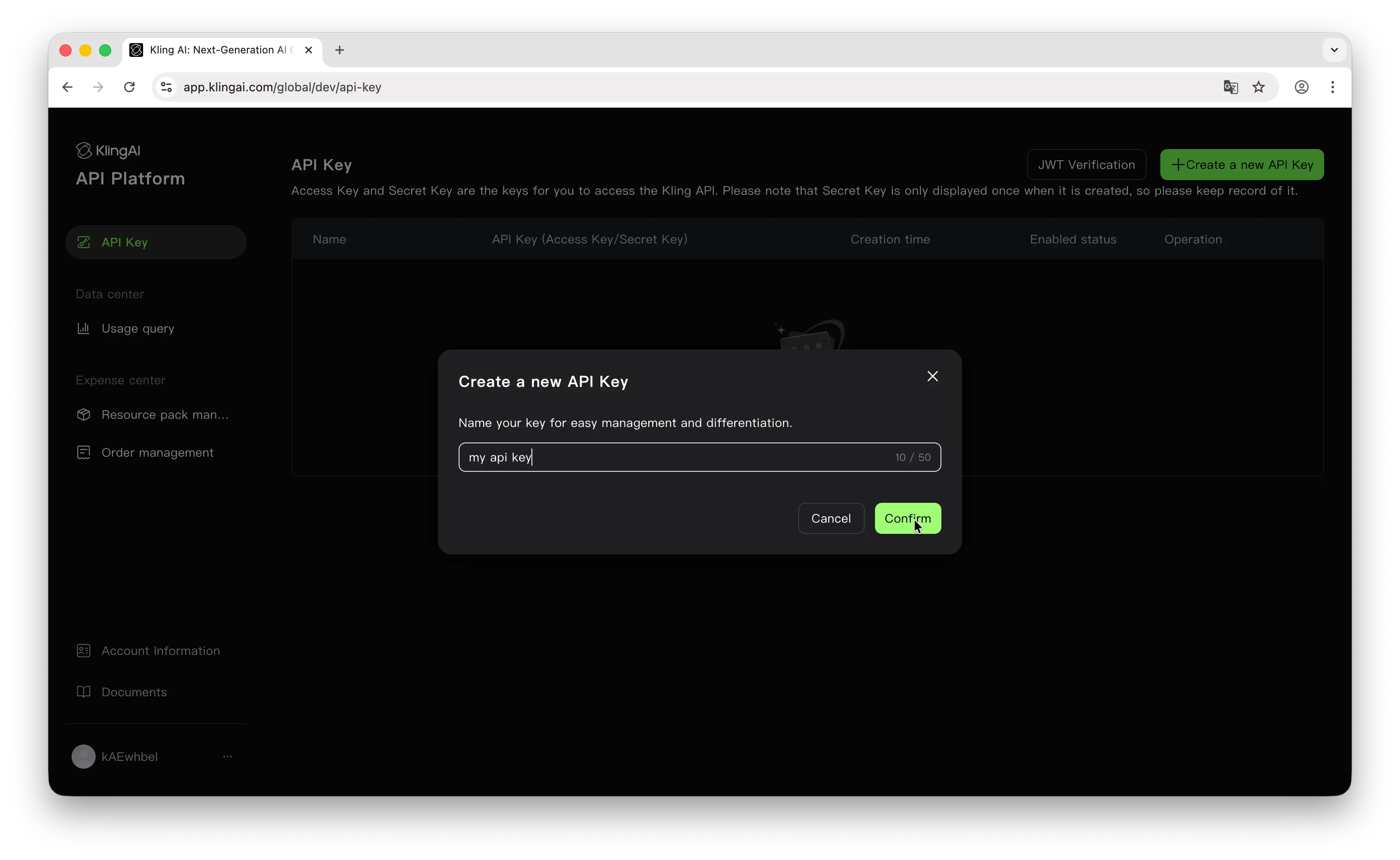 Kling AI name your API key
