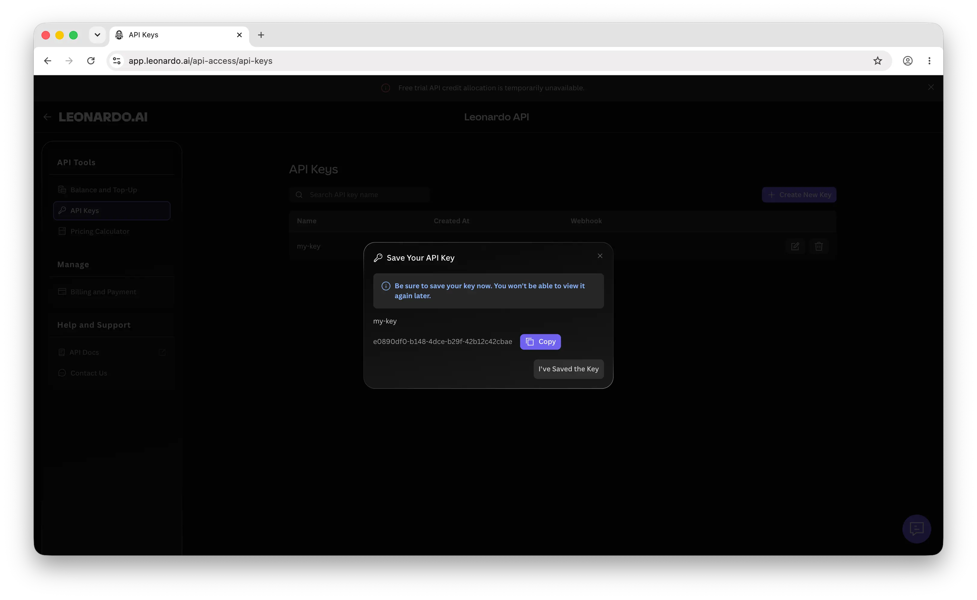 Leonardo.Ai API key revealed with copy button