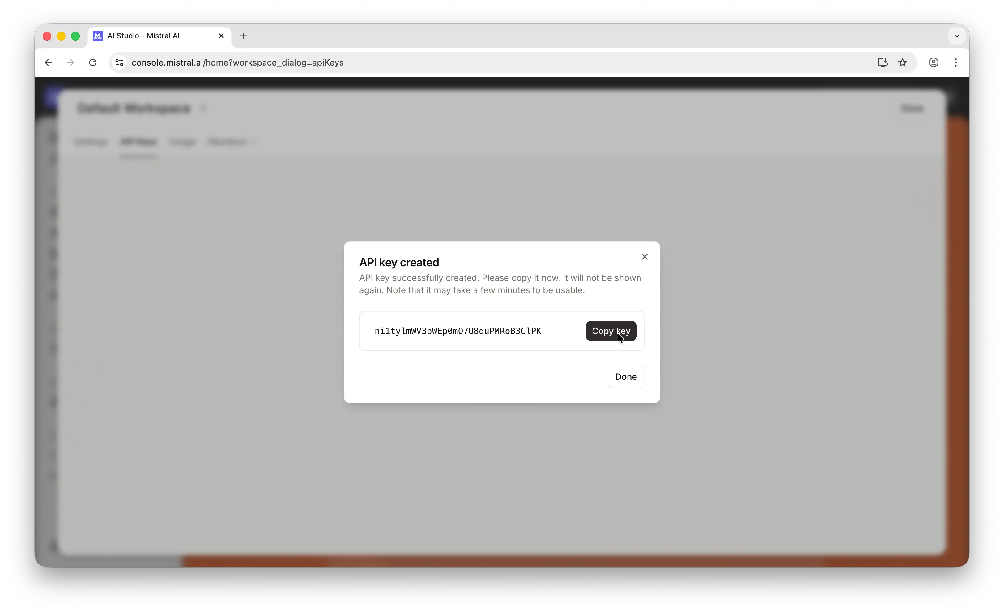 Mistral API key revealed with copy button