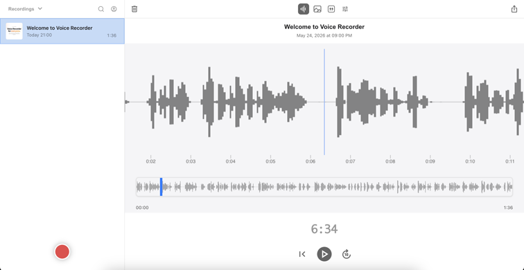 Voice Recorder