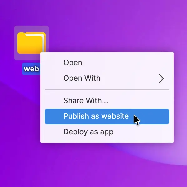Publish as Website option