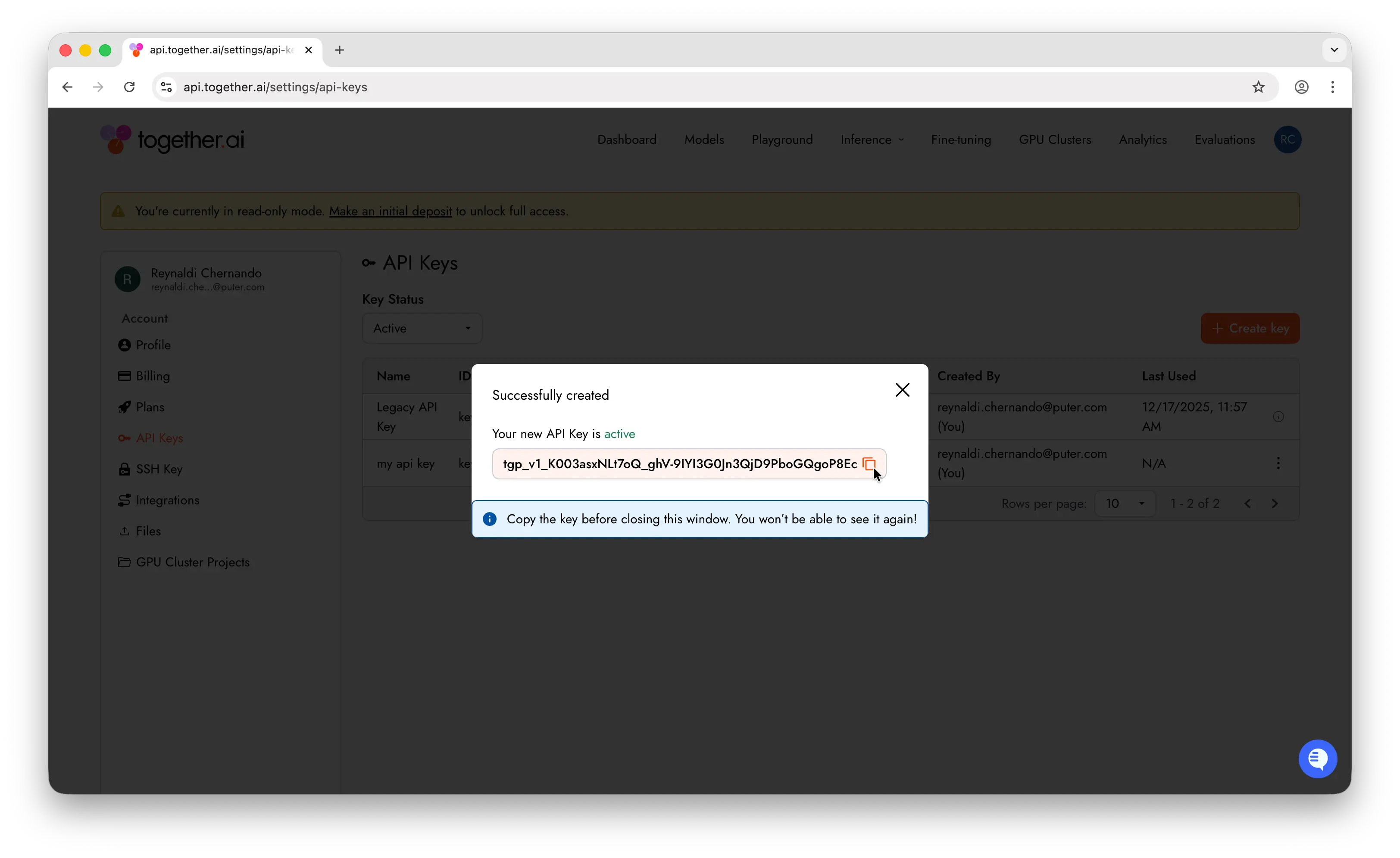 Together AI API key revealed with copy button