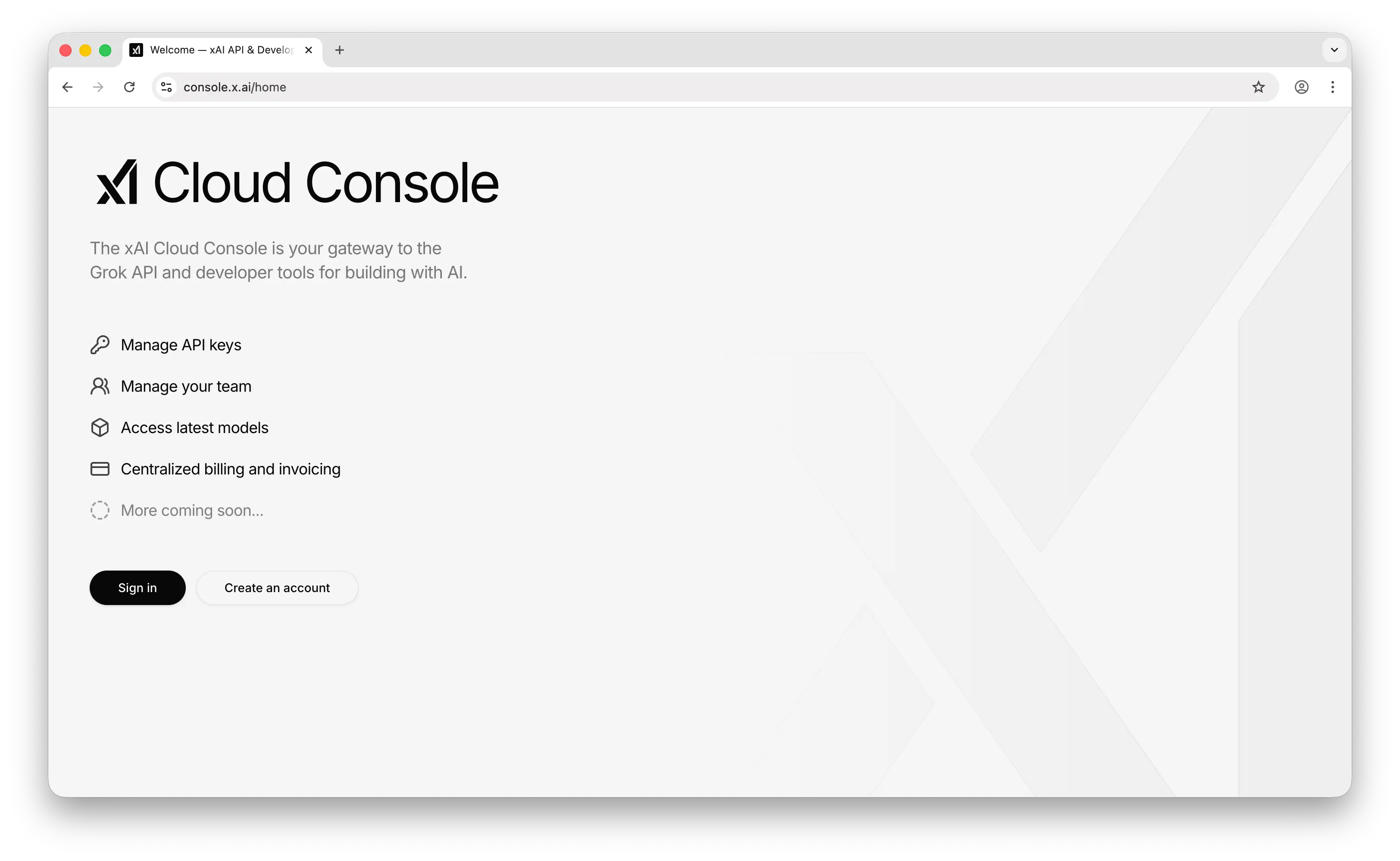 xAI console landing page