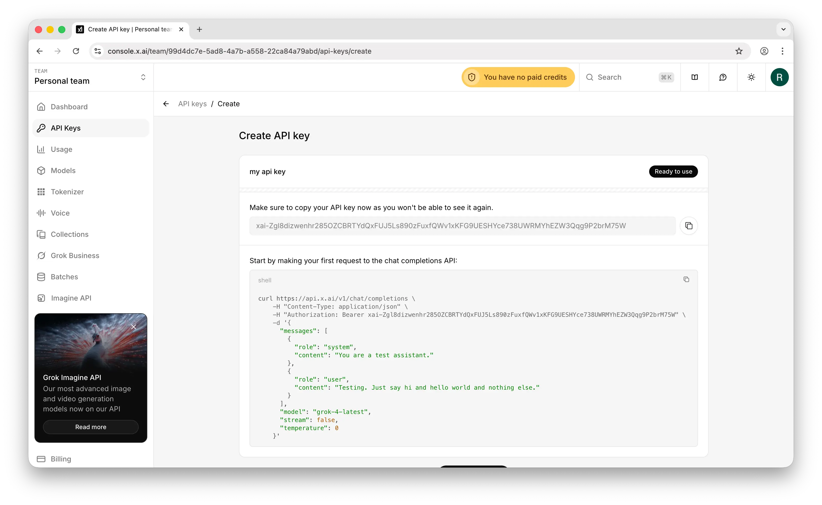 xAI API key revealed with copy button