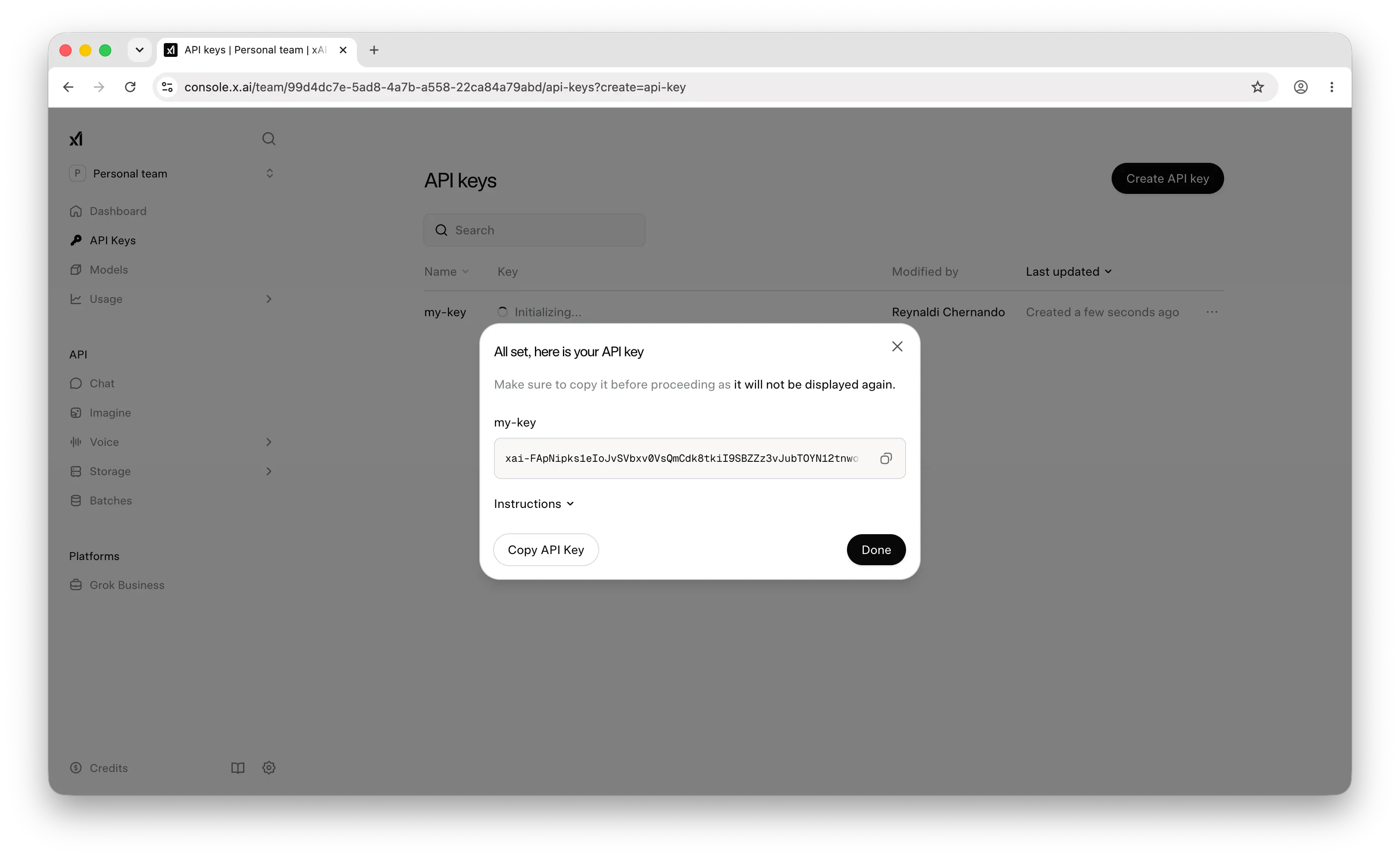 xAI API key revealed with copy button