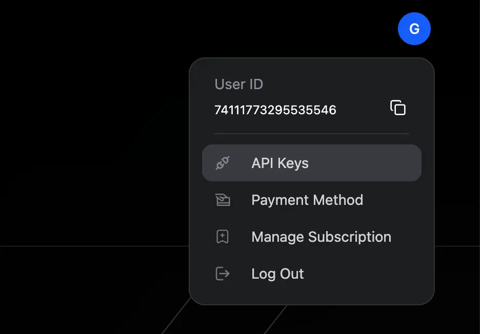 Z.AI profile menu with API Keys option